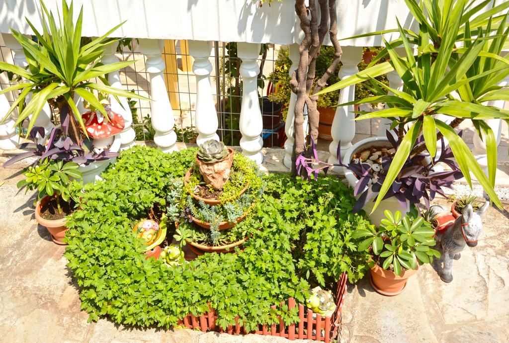 Hotel Dimitra Zeus Leptokaryá Luaran gambar